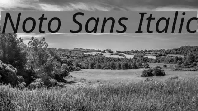 Noto Sans Italic Font examples