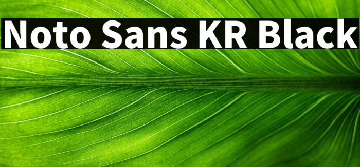 Noto Sans KR Black Example 1