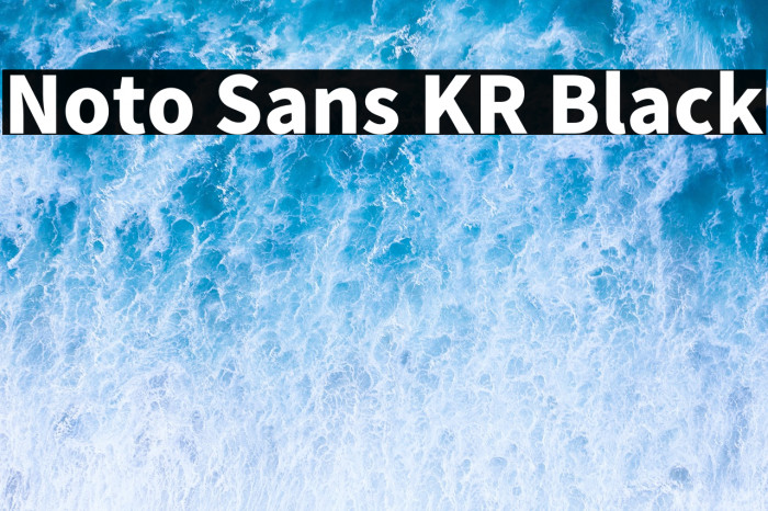 Noto Sans KR Black Example 2