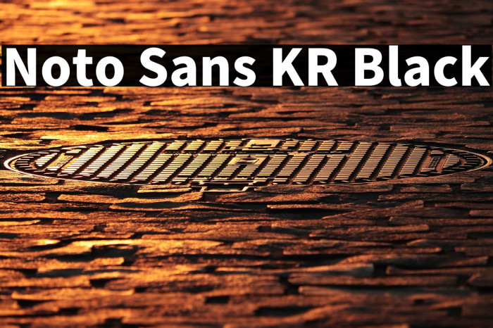 Noto Sans KR Black Example 3
