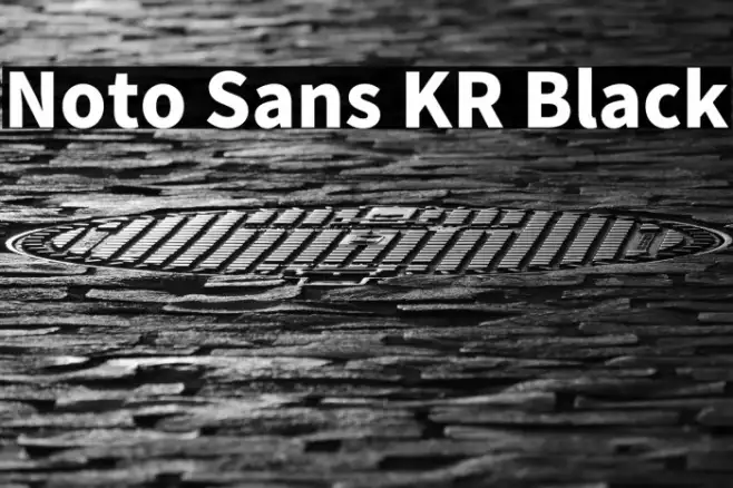 Noto Sans KR Black Example 3