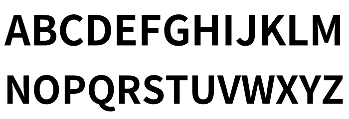 Noto Sans KR Bold Font UPPERCASE