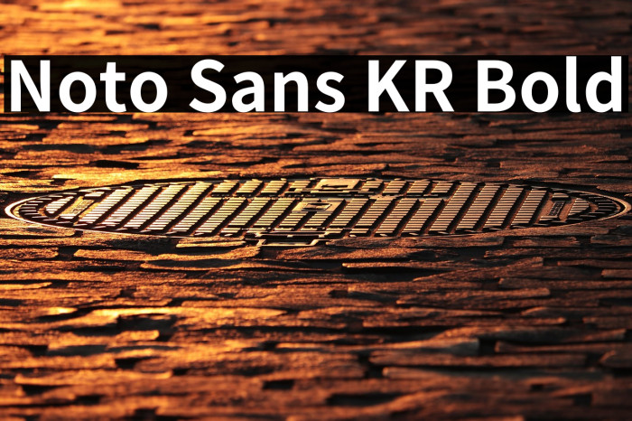 Noto Sans KR Bold Example 1