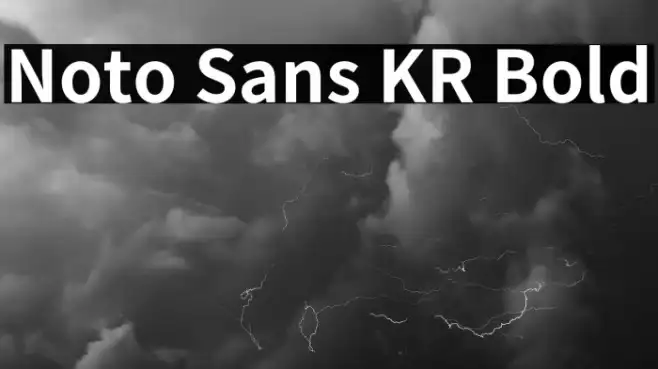 Noto Sans KR Bold Example 2