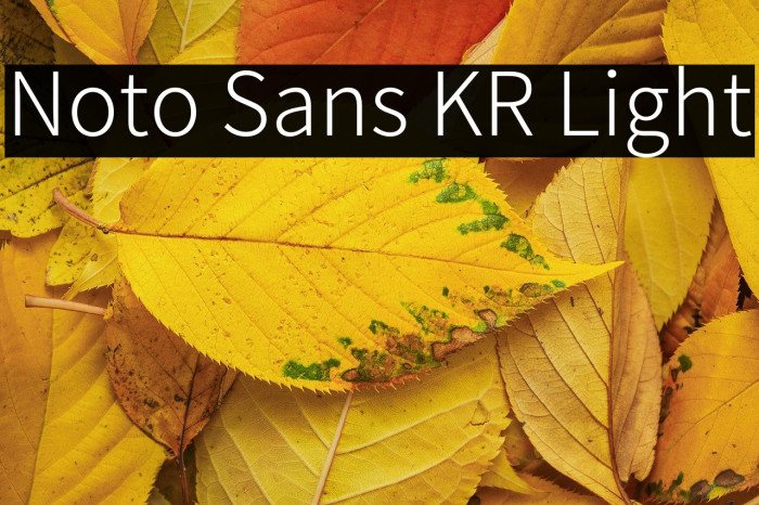Noto Sans KR Light Example 2