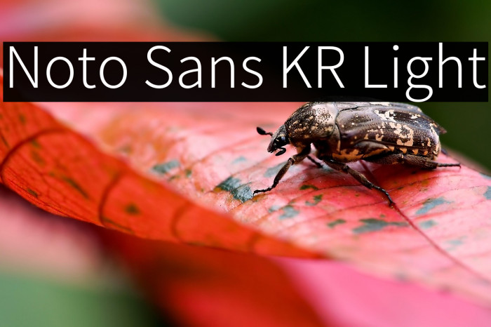 Noto Sans KR Light Example 3