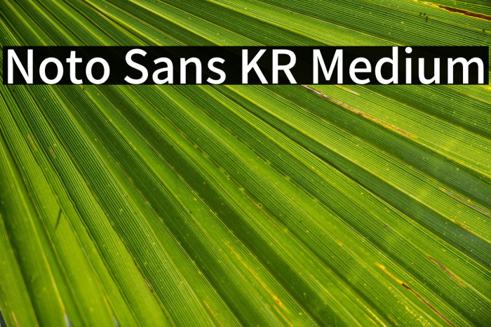 Noto Sans KR Medium Example 1
