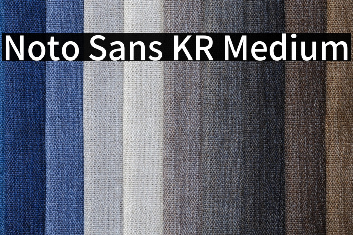 Noto Sans KR Medium Example 2