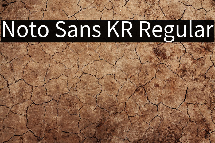 Noto Sans KR Regular Example 1