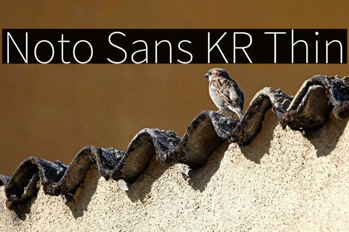 Noto Sans KR Thin Example 1