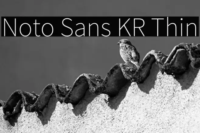 Noto Sans KR Thin Example 1