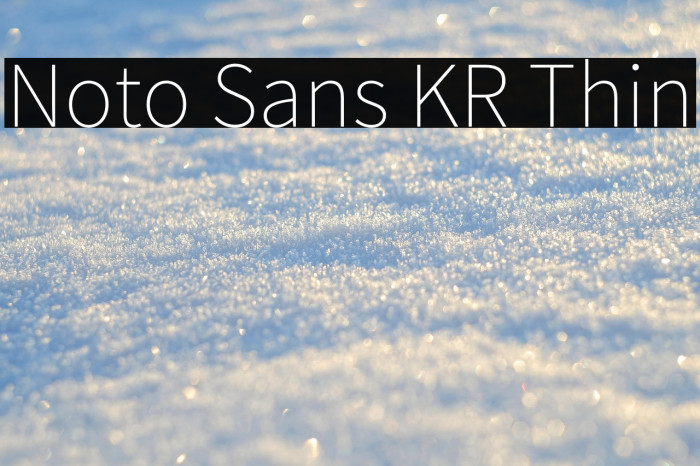 Noto Sans KR Thin Example 2