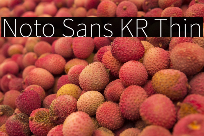 Noto Sans KR Thin Example 3