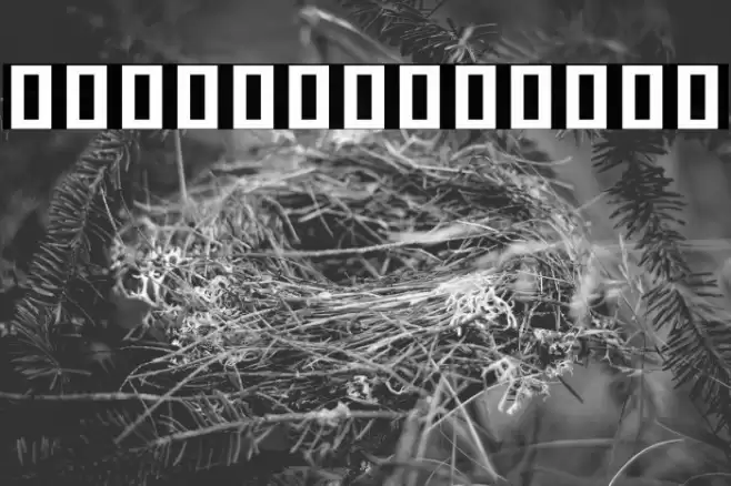 Noto Sans Khmer Condensed ExtraBold Font examples