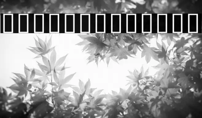 Noto Sans Khmer Condensed Light Font examples