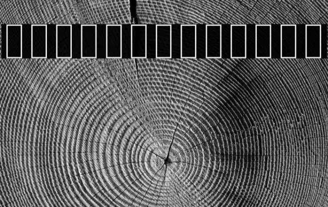 Noto Sans Khmer Condensed Thin Example 1