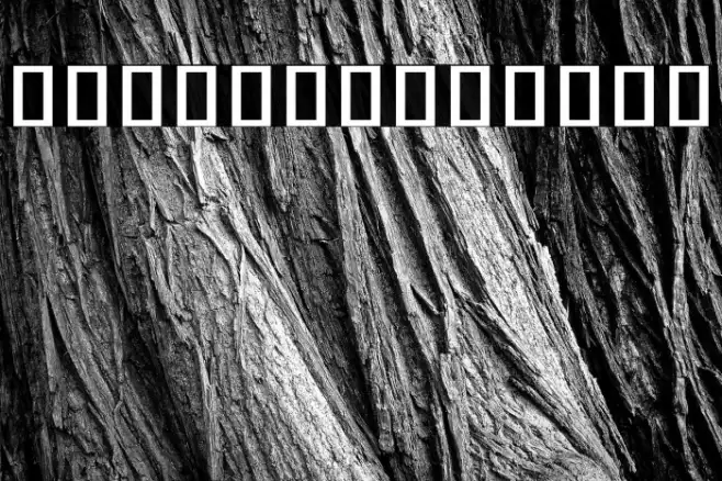 Noto Sans Khmer Medium Example 2