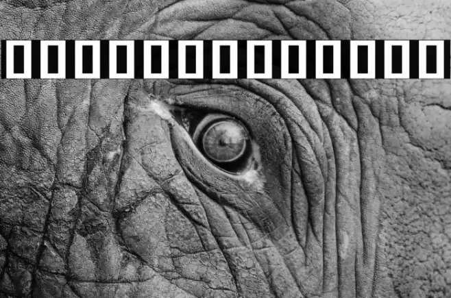 Noto Sans Khmer SemiCondensed Bold Font examples