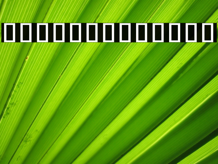 Noto Sans Khmer SemiCondensed Font examples