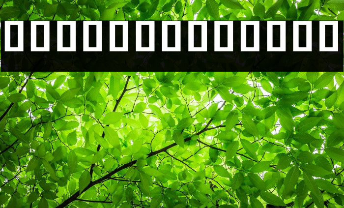 Noto Sans Khmer UI Condensed Bold Example 2