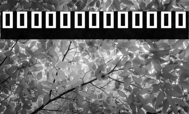 Noto Sans Khmer UI Condensed Bold Font examples