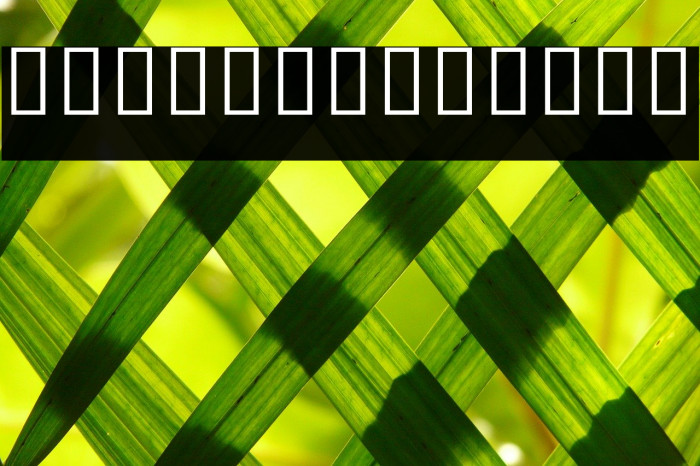 Noto Sans Khmer UI Condensed Light Example 1