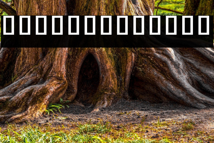 Noto Sans Khmer UI Condensed Medium Example 2