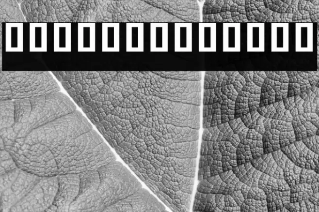 Noto Sans Khmer UI ExtraCondensed ExtraBold Font examples