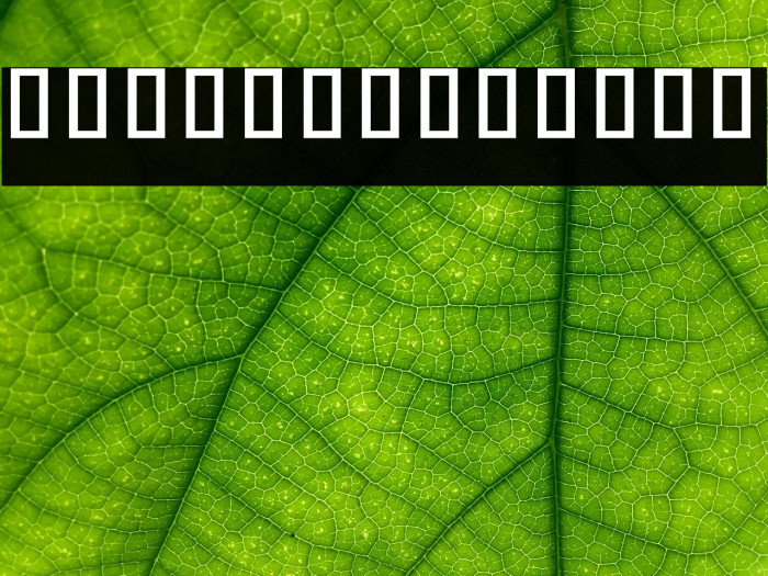 Noto Sans Khmer UI ExtraCondensed Medium Example 2