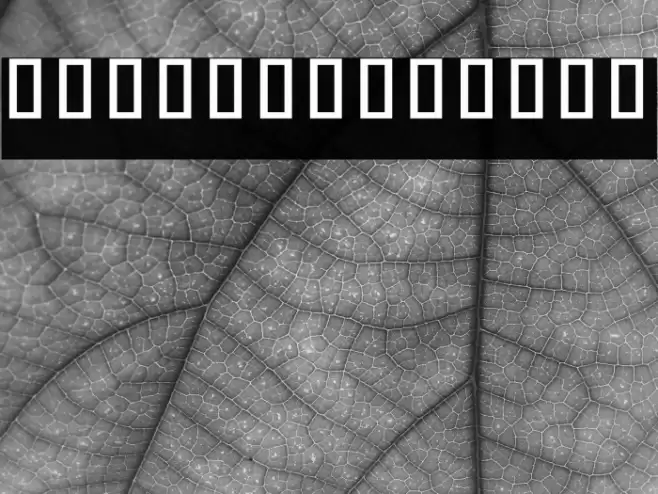 Noto Sans Khmer UI ExtraCondensed Medium Font examples