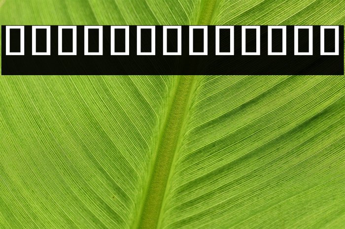 Noto Sans Khmer UI Regular Font examples