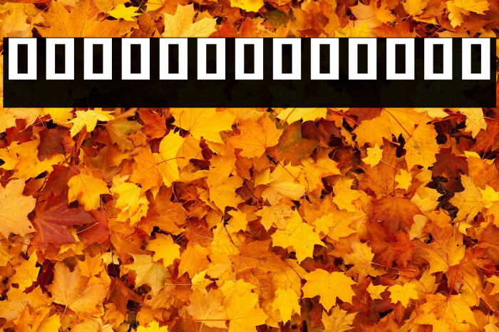 Noto Sans Khmer UI SemiCondensed ExtraBold Example 3