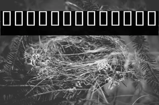 Noto Sans Khmer UI SemiCondensed Light Example 2