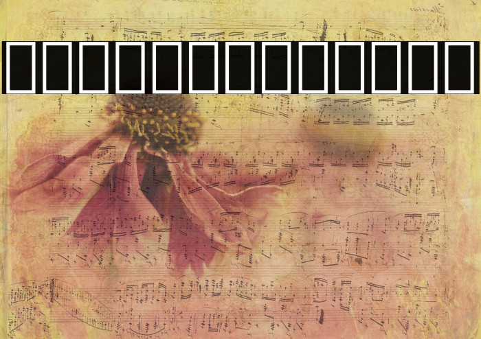 Noto Sans Lao Bold Example 2