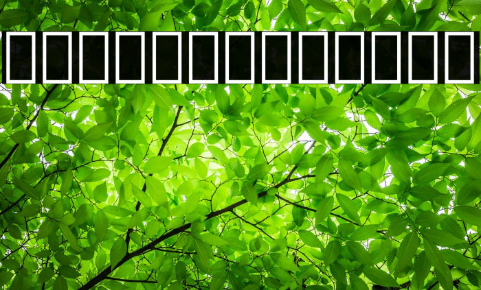 Noto Sans Lao ExtraBold Example 1