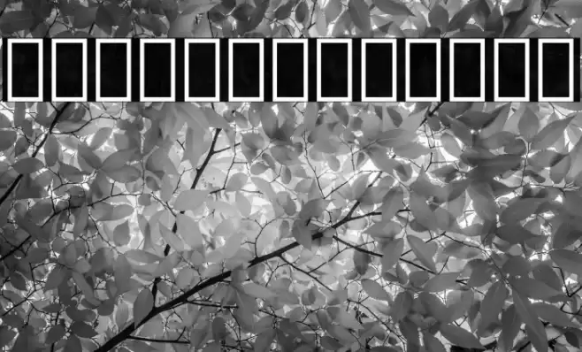 Noto Sans Lao ExtraBold Font examples