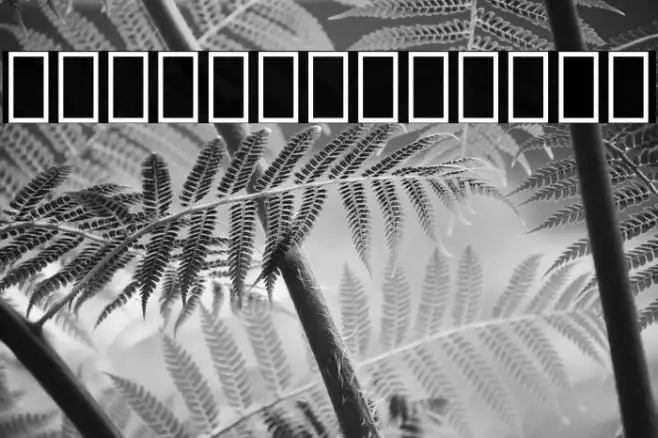 Noto Sans Lao ExtraCondensed Black Example 1