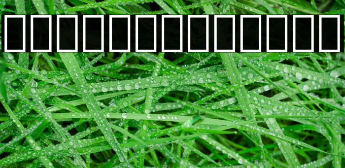 Noto Sans Lao ExtraCondensed ExtraLight Example 3