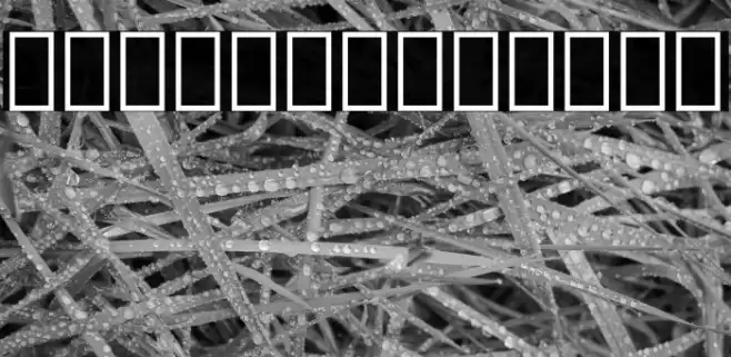 Noto Sans Lao ExtraCondensed ExtraLight Font examples