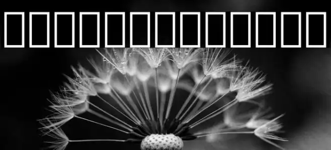 Noto Sans Lao ExtraCondensed Medium Example 3