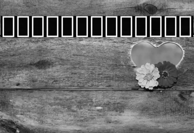 Noto Sans Lao SemiCondensed Black Font examples