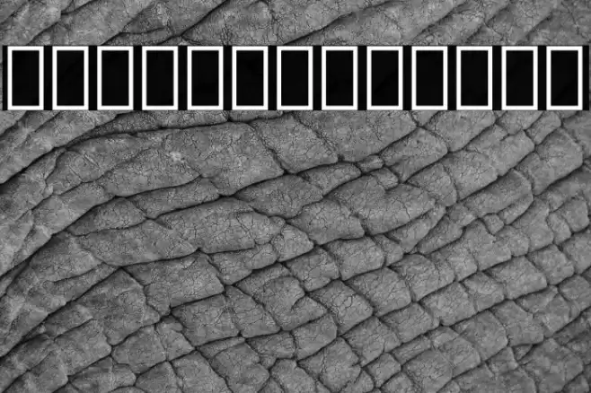 Noto Sans Lao UI Condensed Medium Font examples