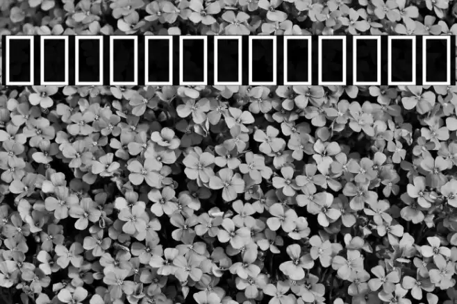 Noto Sans Lao UI ExtraCondensed Black Font examples