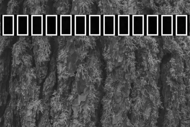 Noto Sans Lao UI ExtraCondensed ExtraBold Font examples