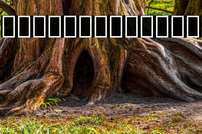 Noto Sans Lao UI ExtraCondensed ExtraLight Example 1