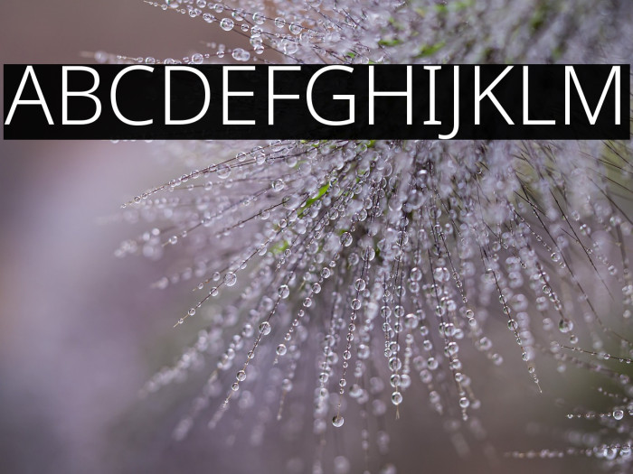 Noto Sans Light Example 3