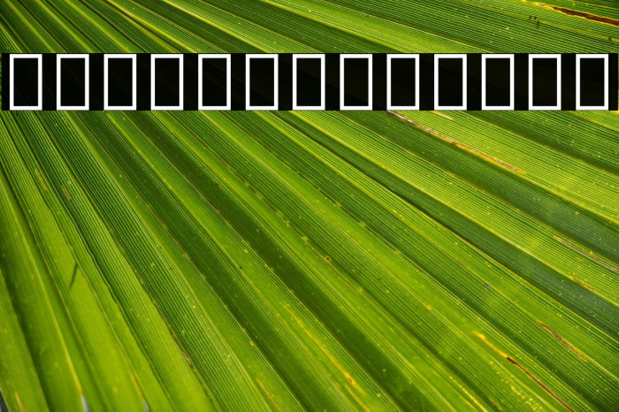 Noto Sans Malayalam Bold Font examples