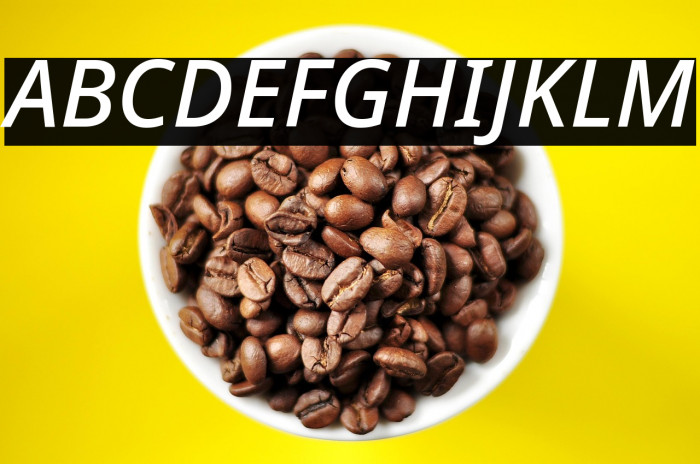 Noto Sans Medium Italic Example 1