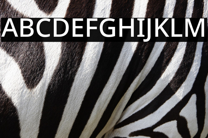 Noto Sans Medium Example 1