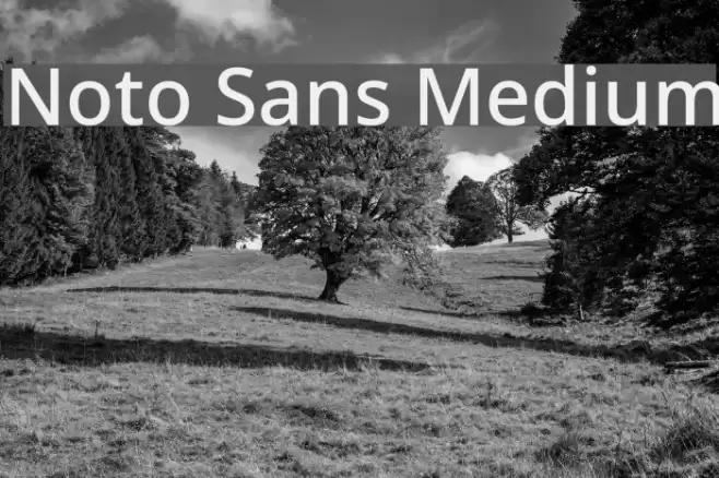 Noto Sans Medium Font examples